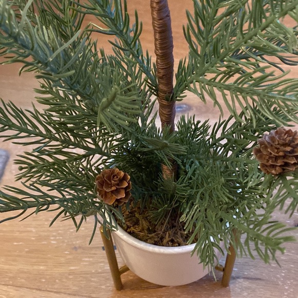 Decorative Potted Tree Shrub on Stand - Picture 4 of 8